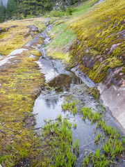 Stream flowing on the rock in Mount Rainier National Park in Washington State during Summer.