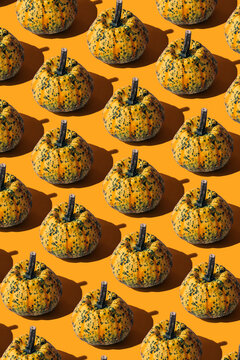 Pumpkin pattern