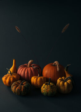 Fototapeta Decorative pumpkins