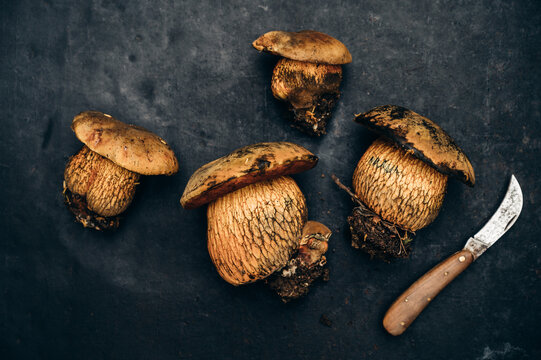 Food: Edible wild mushroom