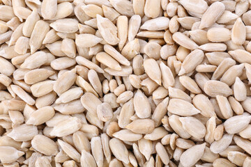 Heap of sunflower seeds as background