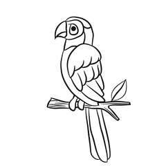 coloring book, bird, vector illustration