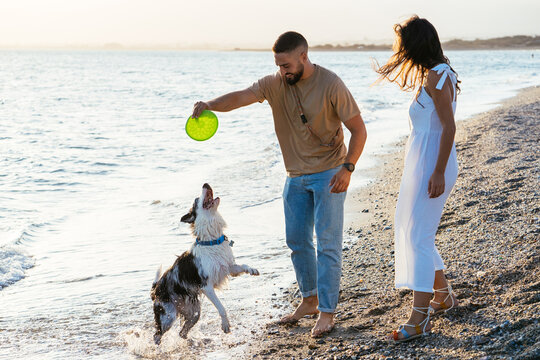 Couple with frisbee playing with dog