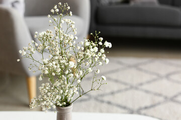 Vase with gypsophila flowers on table in living room, closeup