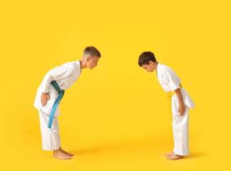 Little boys performing ritual bow before practicing karate on color background © Pixel-Shot