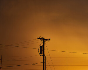 Power Line in a storm