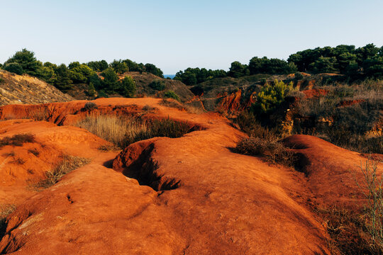 Landscape with red soil and vegetation
