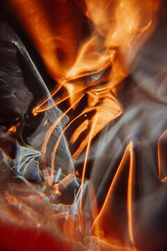 A fantasy image, reminiscent of a flame of fire.