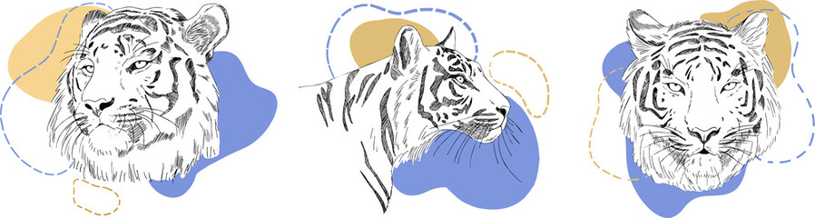 Fototapeta na wymiar tiger illustrations sketches and abstract figures. Vector illustration