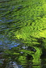 新緑が写る渓流