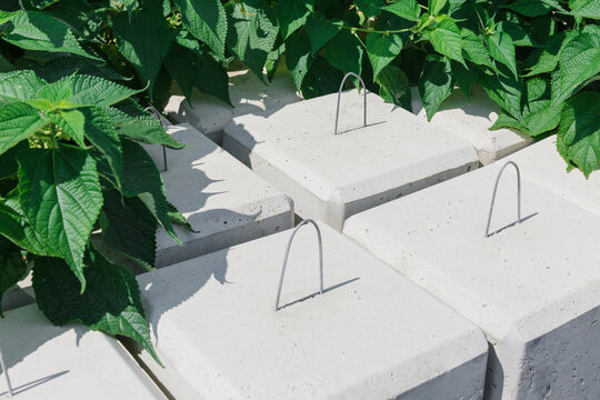 Concrete and leaves.