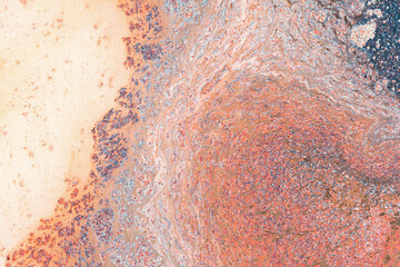 Abstract navy and orange design