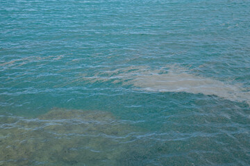 Fototapeta na wymiar 沖縄県北部に海底火山の噴火でできた軽石が海流に乗って流れついて漂う海