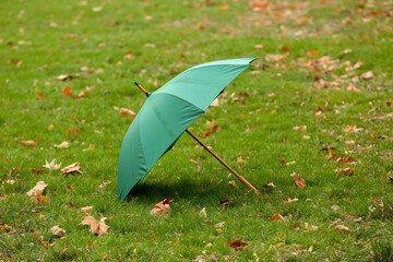 Stylish bright umbrella on green grass outdoors