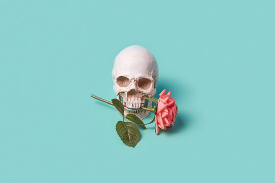 Skull with rose