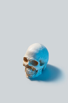 Human spooky skull