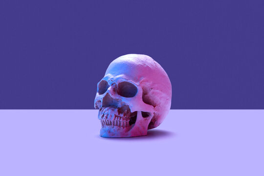 Closeup of skull