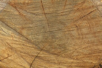 Naklejka premium texture background