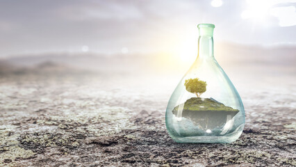 Tree growing inside clear glass bottle . Mixed media