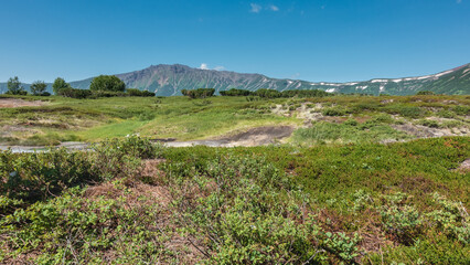 Obraz premium Green grass and shrubs grow in the crater of an extinct volcano. A picturesque mountain range against the blue sky. Kamchatka. Uzon.