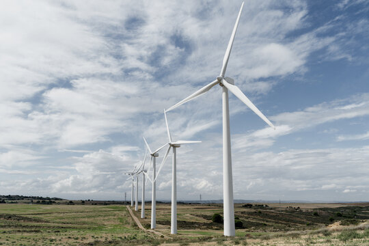 Eolic windmills on field