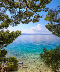 Fototapeta na wymiar View through the trees of the stunning clear blue water of Brela Beach Croatia 