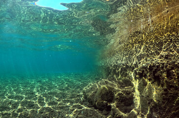 Underwater world of Mediterranean Sea. Near Marmaris, Turkey