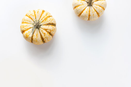 Two pumpkins on white background