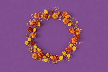 Beautiful orange and yellow flowers in circle