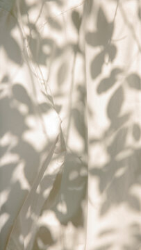 Leaf shadow on white fabric
