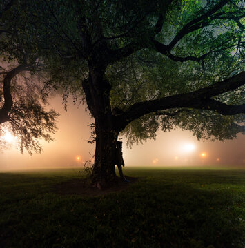 Woman under tree with dense fog