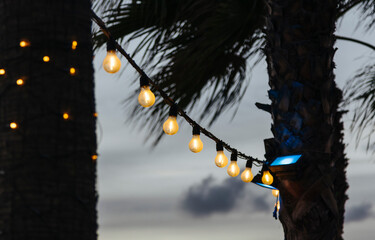 Christmas tree with glowing lights