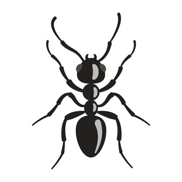 The ant is black. Vector illustration of insect pest.