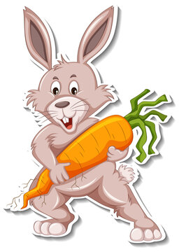 Cute rabbit holding a carrot cartoon sticker