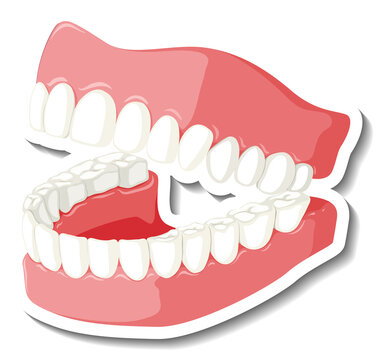 teeth and gums dental care clip art preview