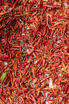 Drying chillies in the sun.