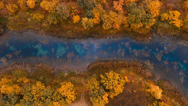 River running through the autumn forest, drone view