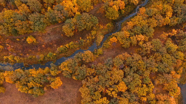 River running through autumnal forest, aerial view