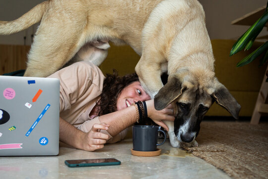 Rude dog at home