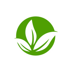 leaf logo icon design template vector