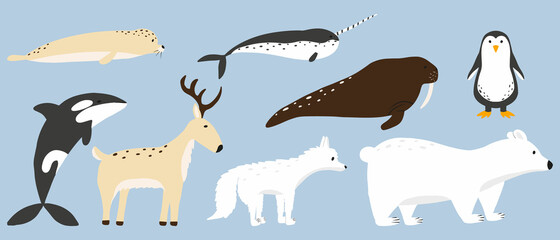 Vector illustration of cute arctic animals. Vector set of arctic animals. Polar bear, reindeer, walrus, arctic fox, seal. © Евгения Крупель