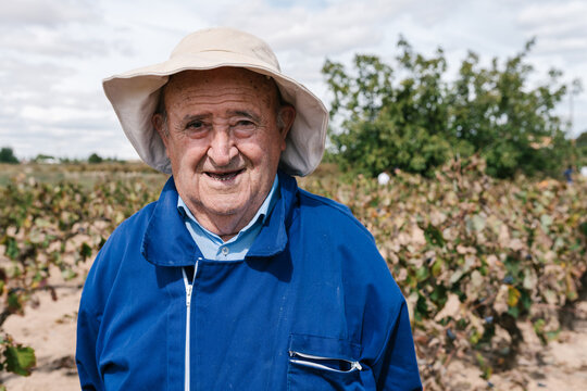 Senior farmer in hat against vines
