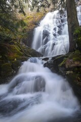 Fototapeta premium Vertical Portrait of Scenic Vine Creek Cascading Waterfall in Lush Pacific Forest, Sooke Potholes Regional Park on Vancouver Island BC Canada