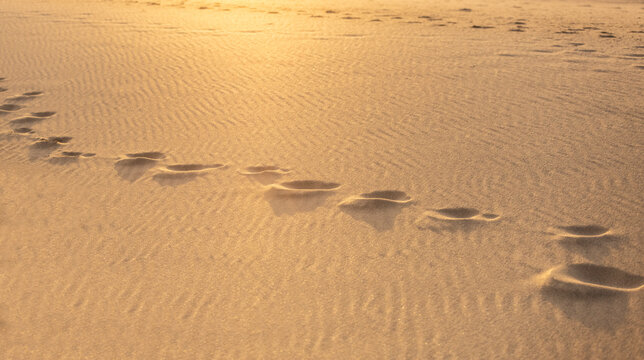 Footprints in sandy beach