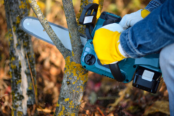 A gardener pruns trees with a lightweight cordless chain saw. Work in the autumn garden.