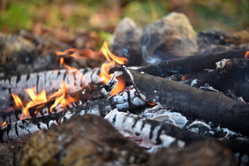 Close up of bonfire with flame and firewood outdoors