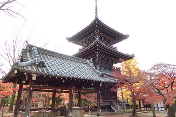 Shourou-dou Belfry and Chouzuya Hut and autumn leaves in the precincts of Shinnyo-dou Temple in Kyoto City in Japan 日本の京都市にある真如堂境内の鐘楼堂と手水舎と紅葉