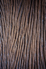 Old and decay wooden background
