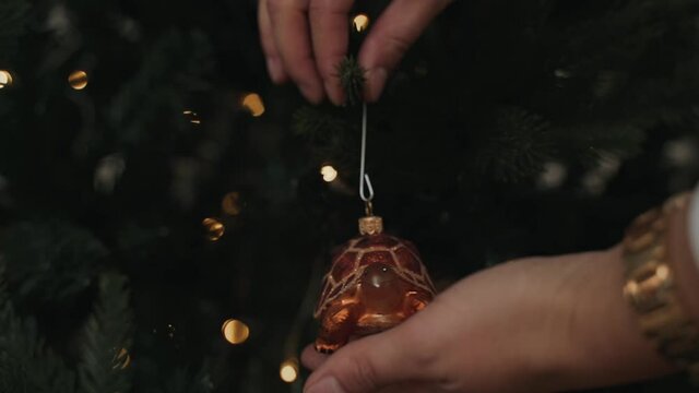 Close-up of woman's hands decorating Christmas tree with turtle toy