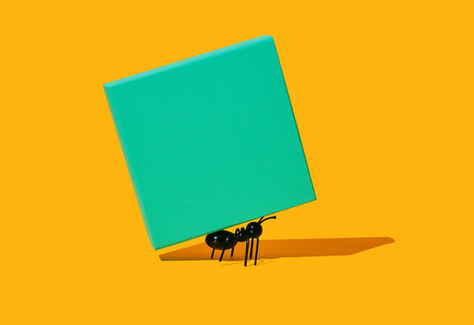 aint carrying a green cube